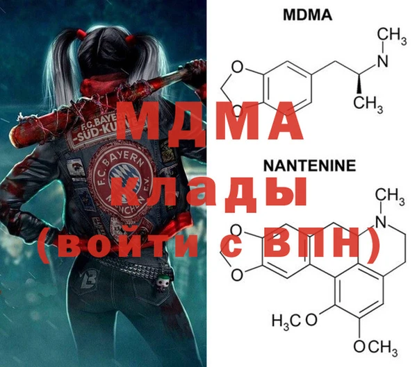 шишки Арсеньев