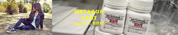 шишки Арсеньев