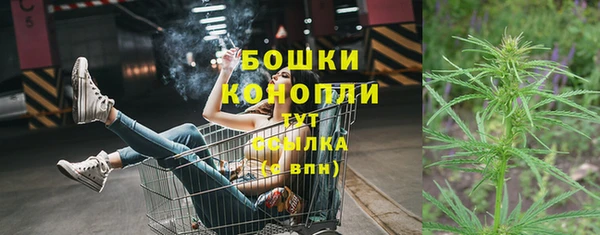 шишки Арсеньев