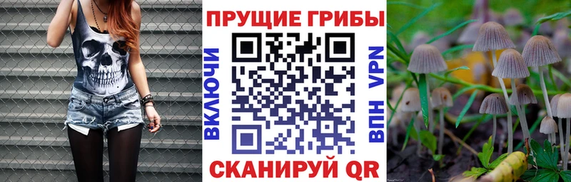 наркотики  Новая Ляля  сайты даркнета состав  Галлюциногенные грибы Magic Shrooms 